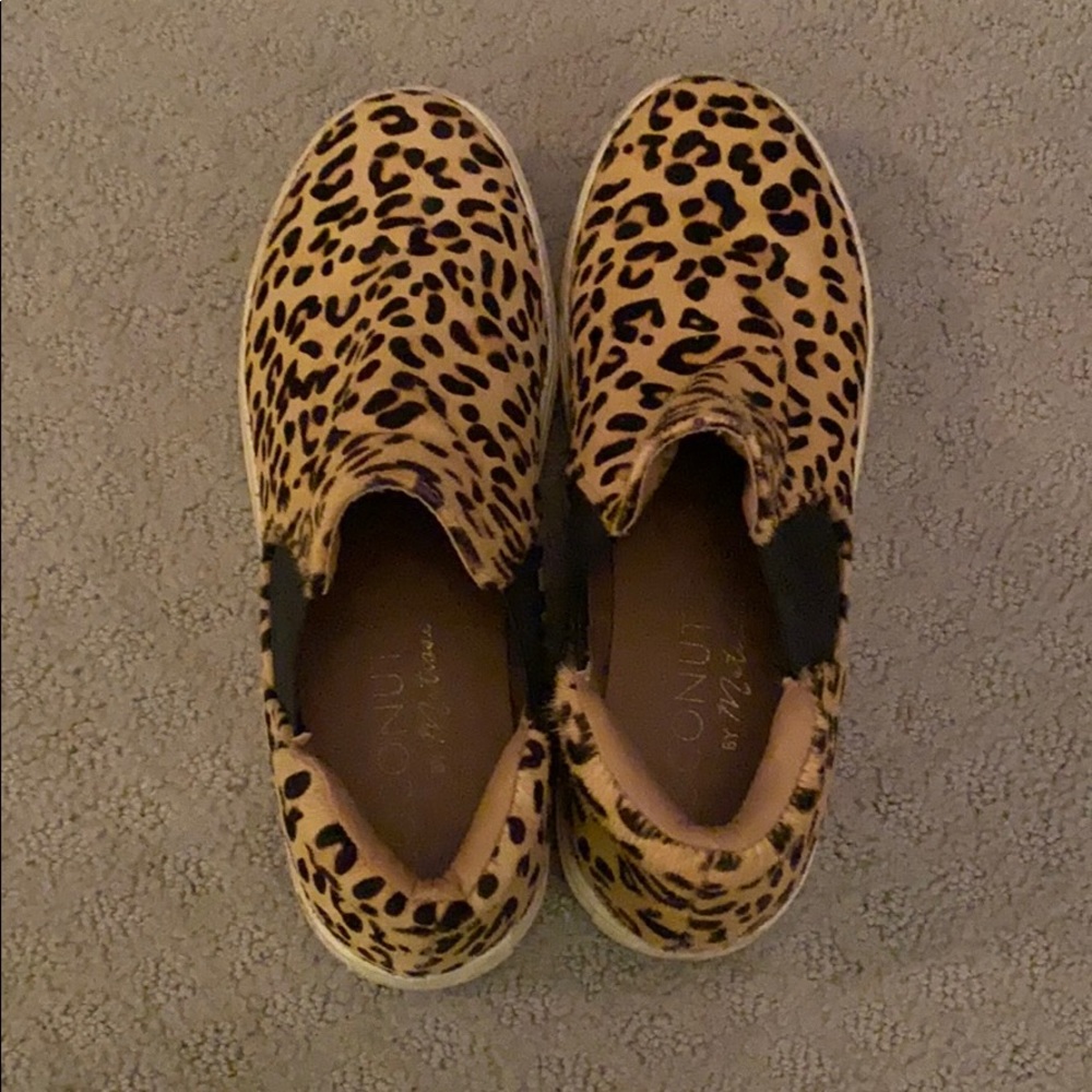 Cheetah Slides
